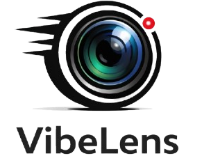 VibeLens
